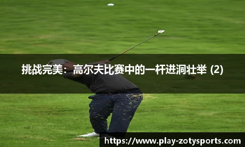 中欧体育